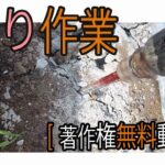 斫りの様子[ 著作権無料動画 ]