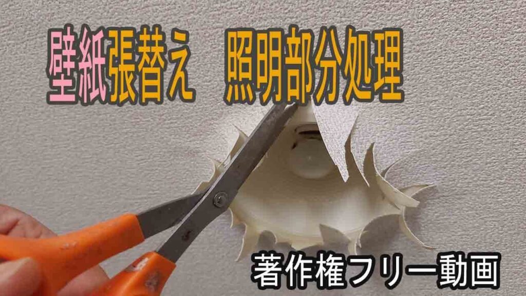 壁紙の張替え作業中、ダウンライト照明部分処理作業の際に撮影した動画