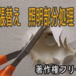 壁紙の張替え作業中、ダウンライト照明部分処理作業の際に撮影した動画